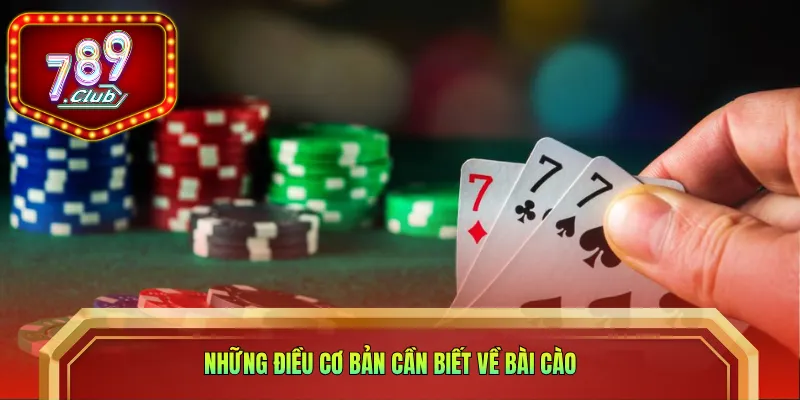 Những điều cơ bản cần biết về bài Cào